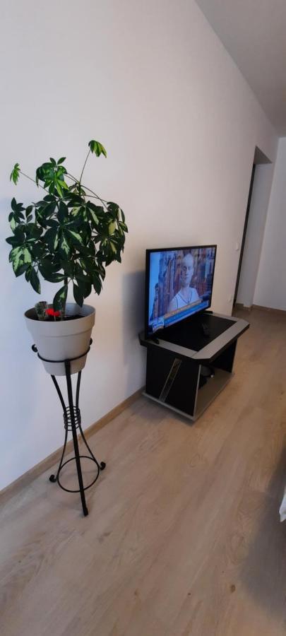 Farmec Studio Apartment Cluj-Napoca Exterior photo